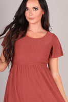 Zara Micro Swiss Dot Dress