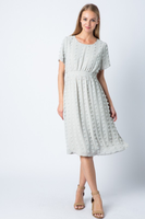 Darci Dot Min Dress